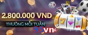 95vn
