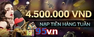 95vn