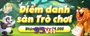 95vn